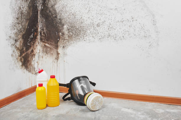 Best Commercial Mold Removal  in North Potomac, MD