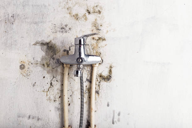 Best Mold Removal Near Me  in North Potomac, MD
