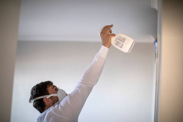 Best Best Mold Removal Companies  in North Potomac, MD
