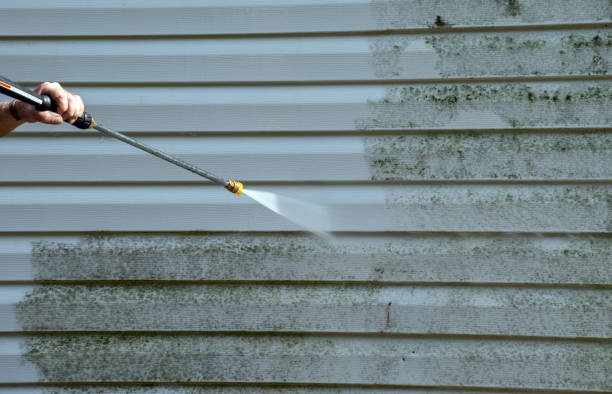 Certified Mold Removal in North Potomac, MD